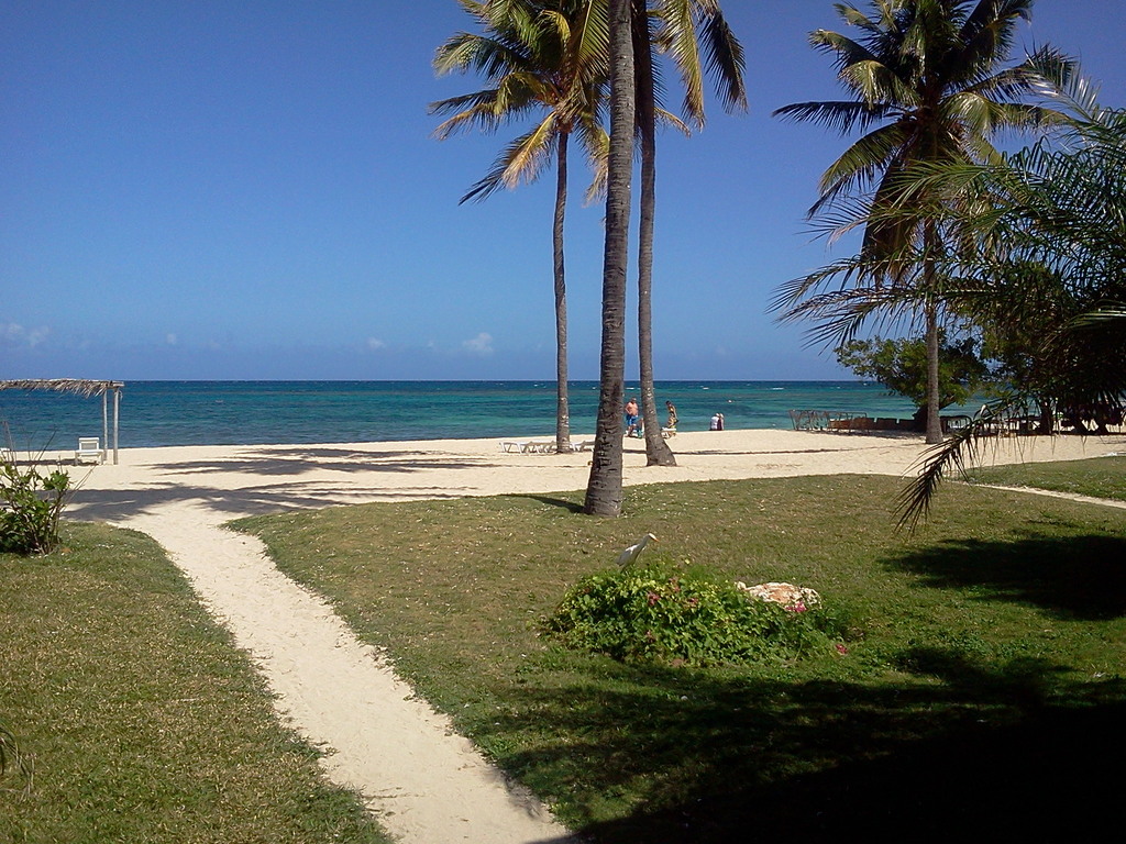 Beach view